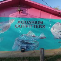 Aquarium Outfitters Carolina ico