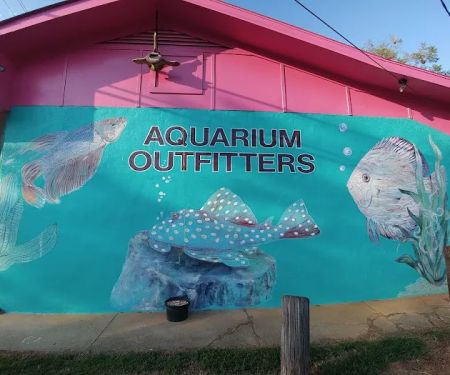 Aquarium Outfitters Carolina
