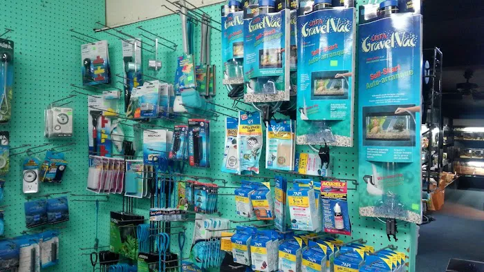 Aquarium Outfitters Carolina Picture 8