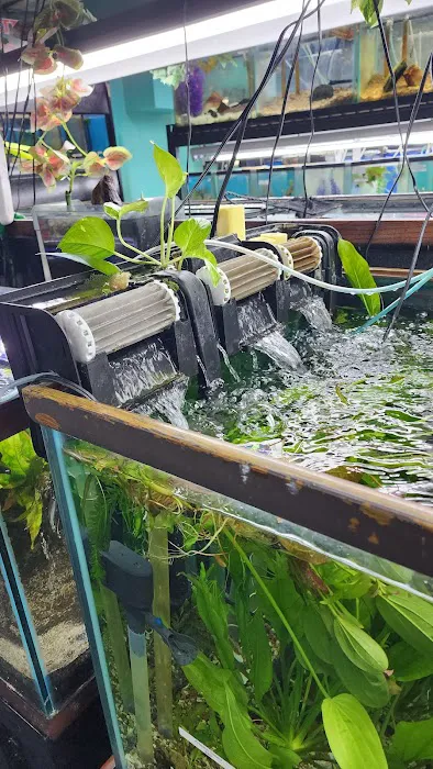 Aquarium Outfitters Carolina Picture 5