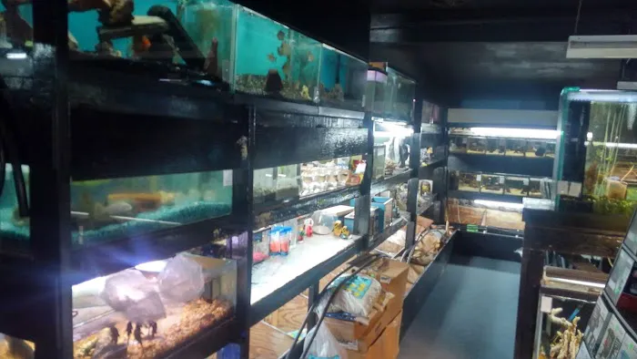 Aquarium Outfitters Carolina Picture 4