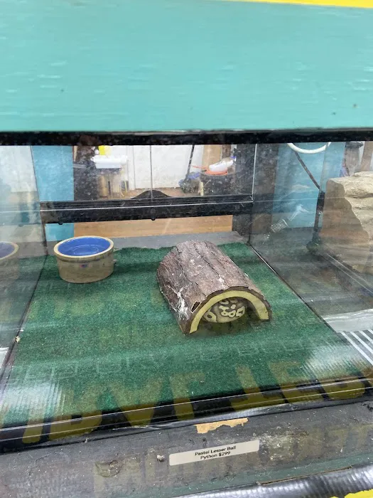 Aquarium Outfitters Carolina Picture 7