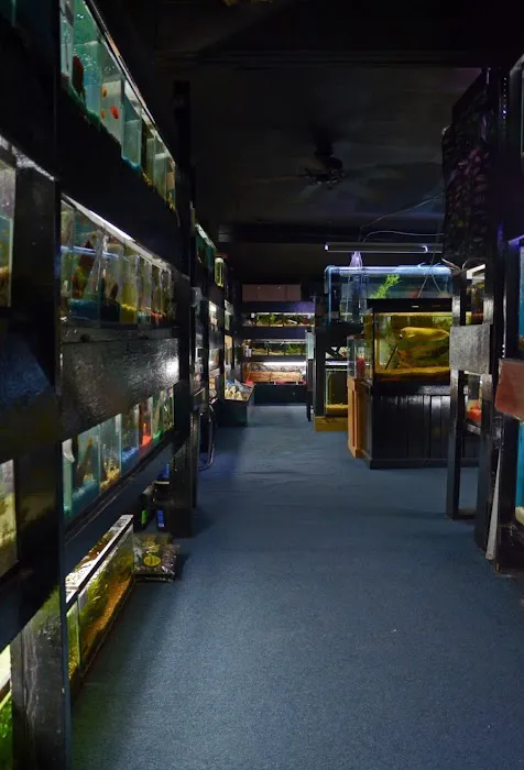 Aquarium Outfitters Carolina Picture 2