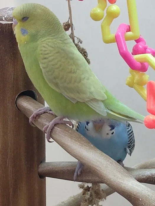 Petco Picture 6
