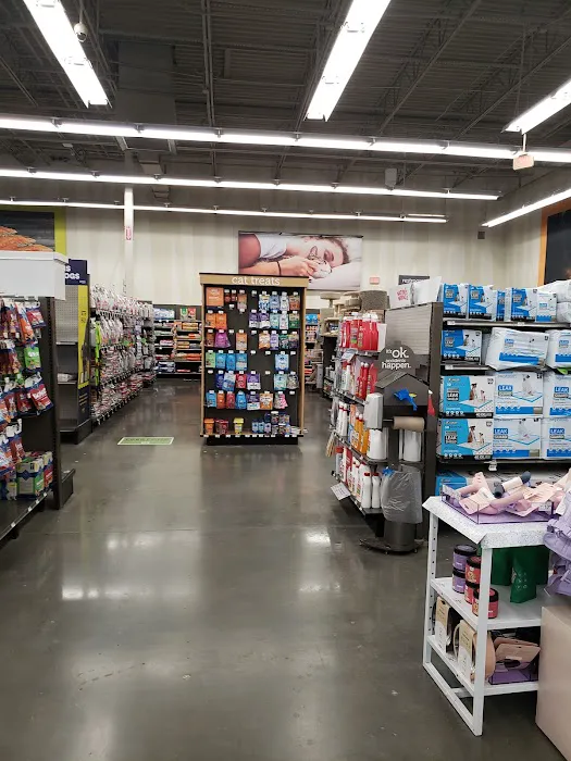 Petco Picture 9