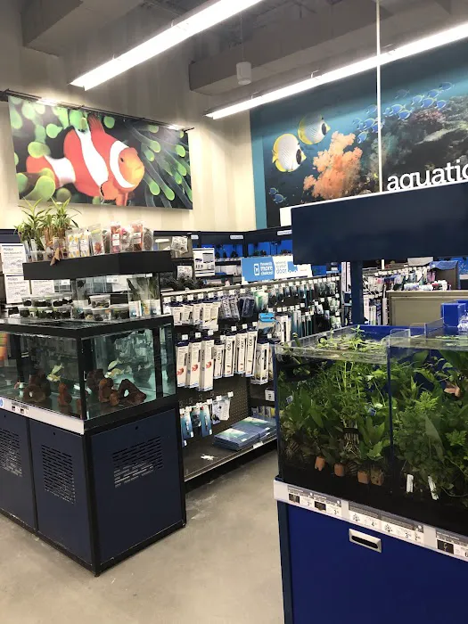 Petco Picture 7