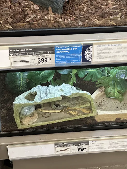 Petco Picture 8