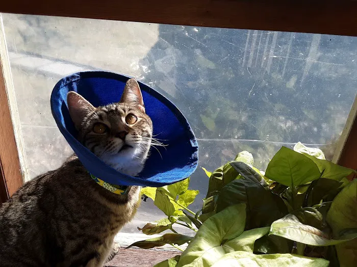 Belle Mead Animal Hospital Picture 8