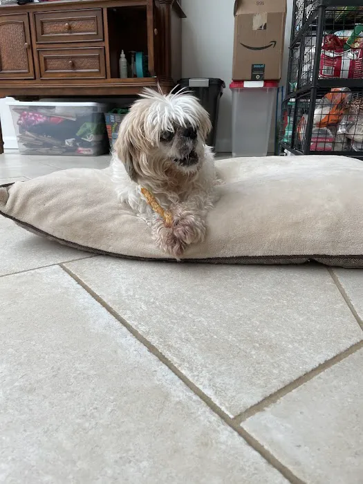 Mendham Animal Hospital Picture 1