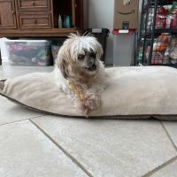 Mendham Animal Hospital ico