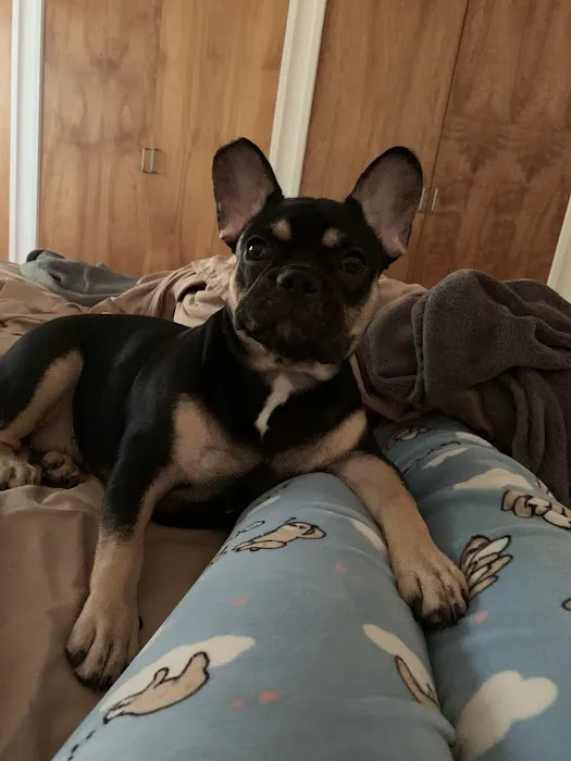 Mendham Animal Hospital Picture 5