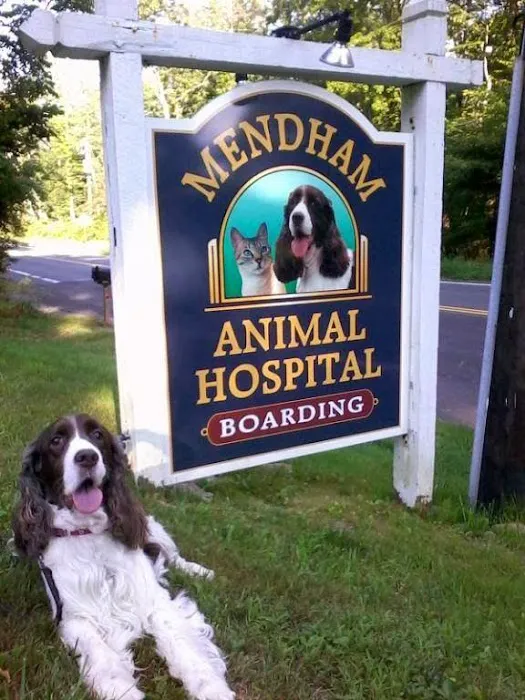 Mendham Animal Hospital Picture 9