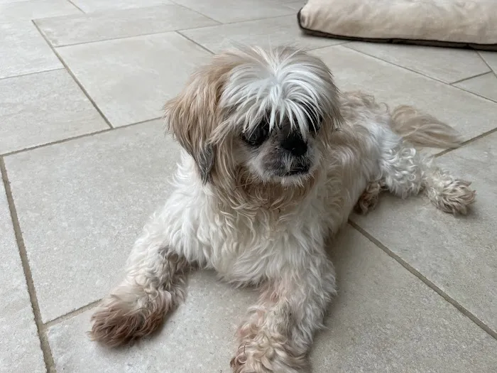 Mendham Animal Hospital Picture 6