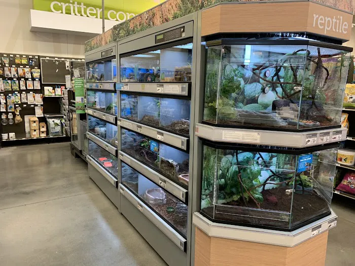 Petco Picture 2