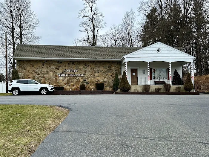 Chester Animal Hospital Picture 10
