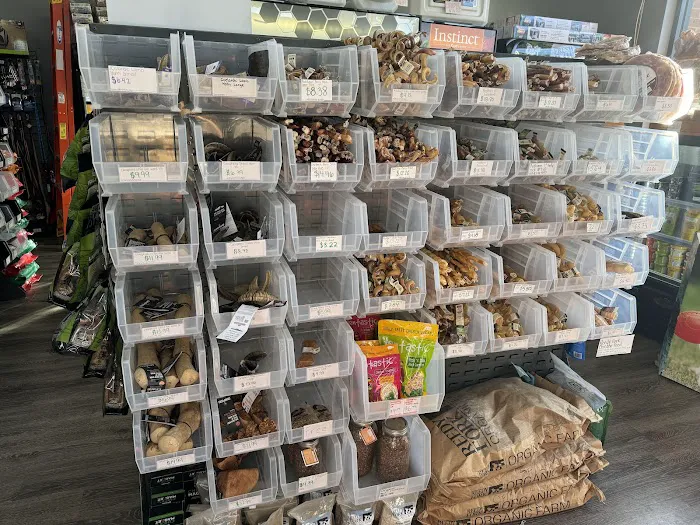 Pet Mania Picture 10