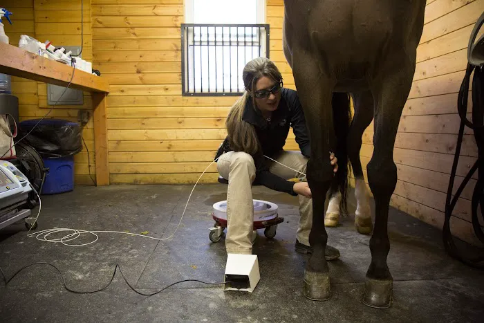 B.W. Furlong & Associates Picture 4