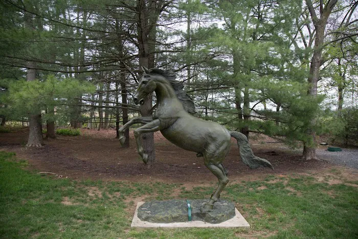 B.W. Furlong & Associates Picture 5