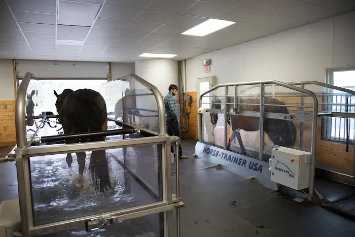 B.W. Furlong & Associates Picture 7