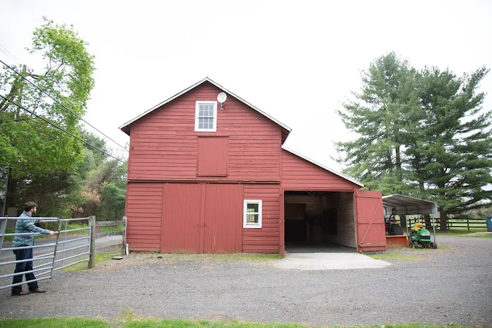 B.W. Furlong & Associates Picture 6