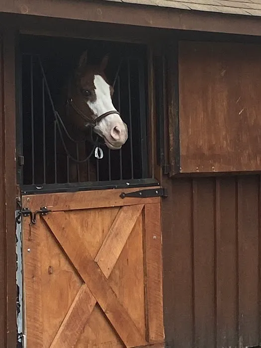 B.W. Furlong & Associates Picture 1