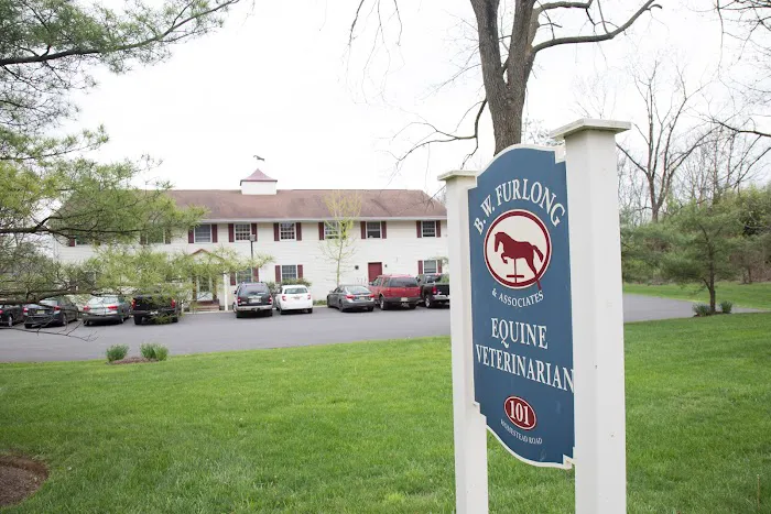 B.W. Furlong & Associates Picture 8