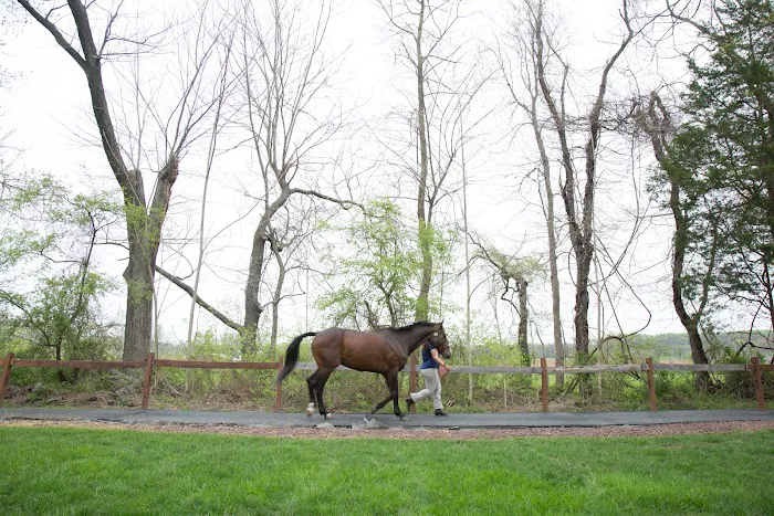 B.W. Furlong & Associates Picture 9