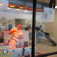 Pet Wash 24 ico