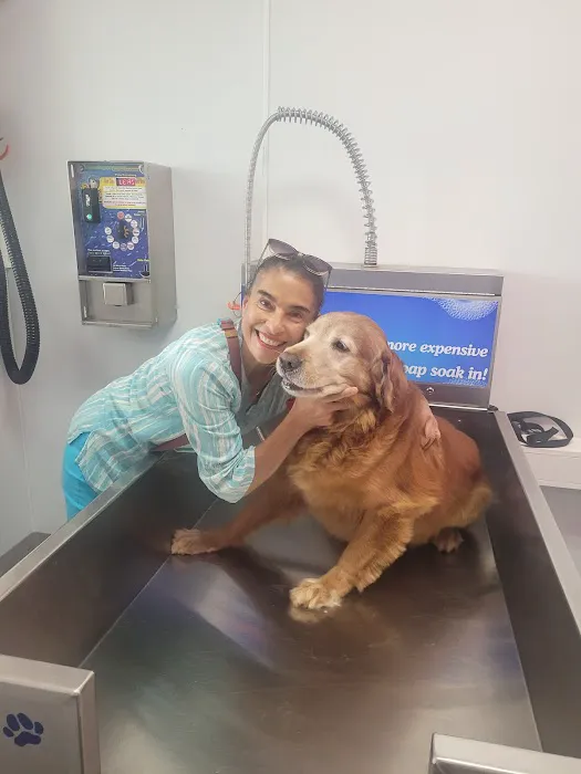 Pet Wash 24 Picture 6