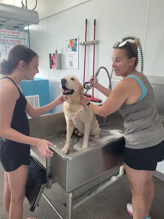 Pet Wash 24 Picture 3