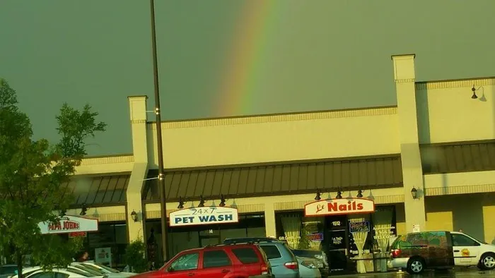 Pet Wash 24 Picture 2