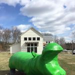 Oldwick Animal Hospital