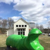 Oldwick Animal Hospital ico