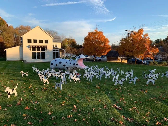 Oldwick Animal Hospital Picture 9