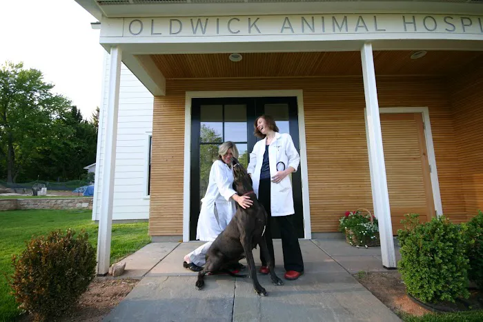 Oldwick Animal Hospital Picture 8