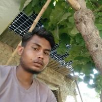 Rathore Kamlesh DVM ico