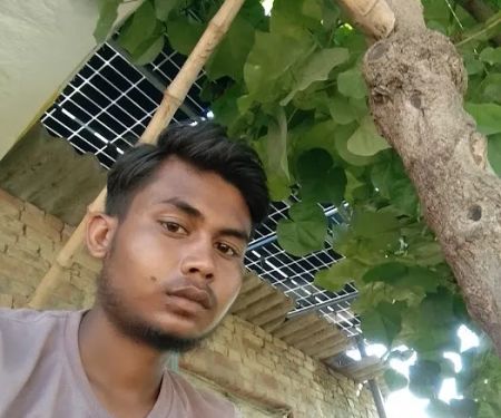 Rathore Kamlesh DVM