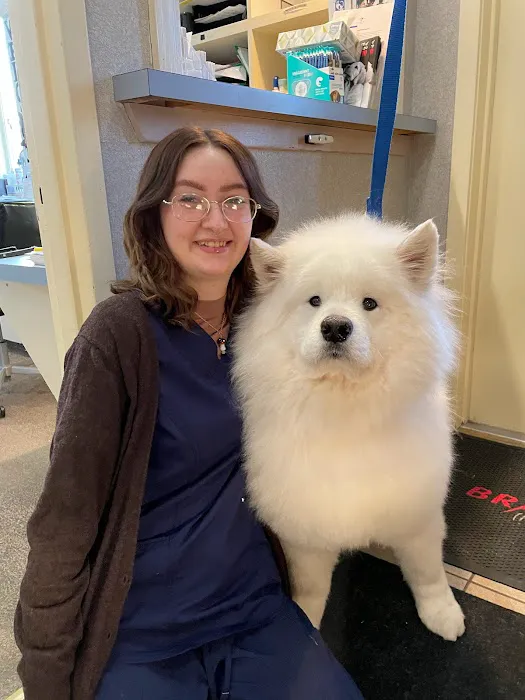 American Animal Hospital Picture 4