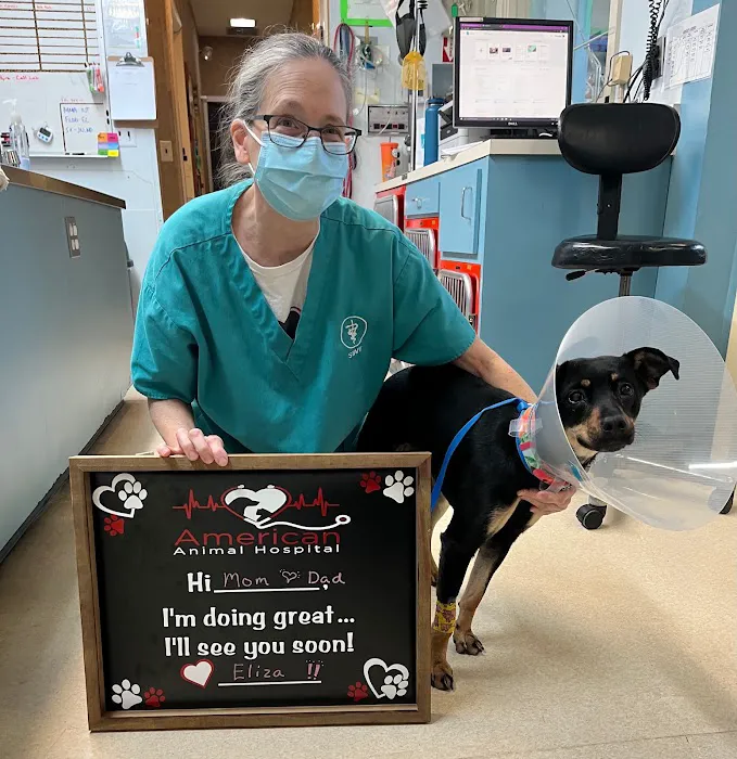 American Animal Hospital Picture 9