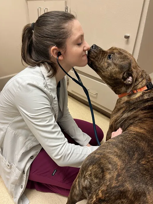 American Animal Hospital Picture 7