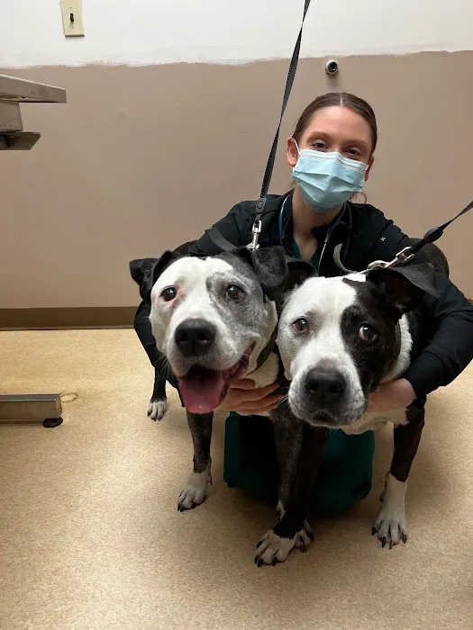 American Animal Hospital Picture 5