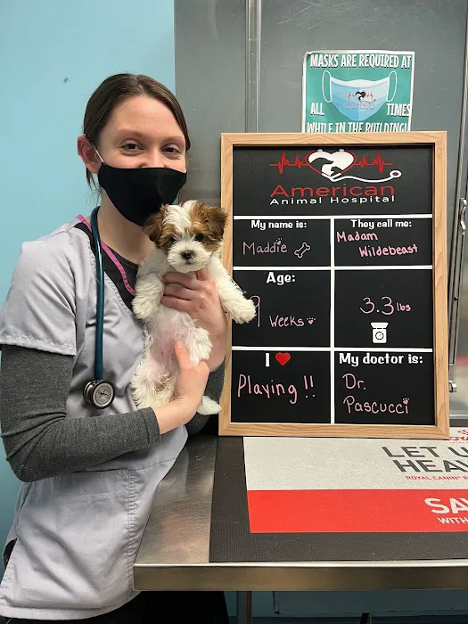 American Animal Hospital Picture 10