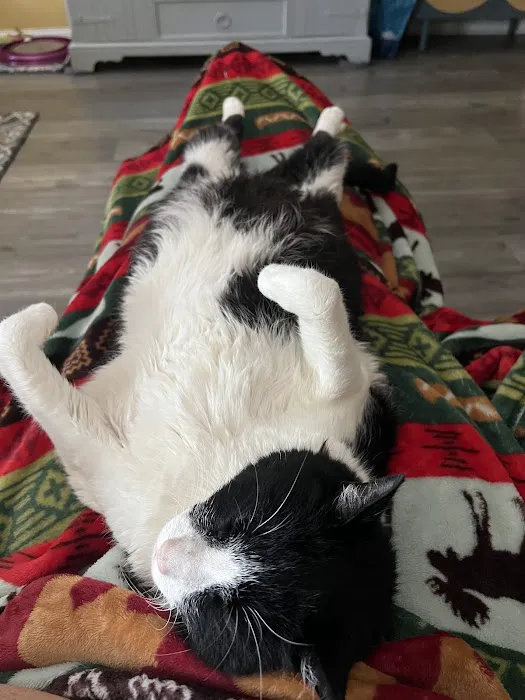 VCA Morris Plains Animal Hospital Picture 1