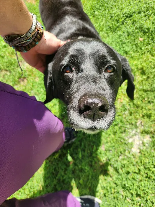 VCA Morris Plains Animal Hospital Picture 5