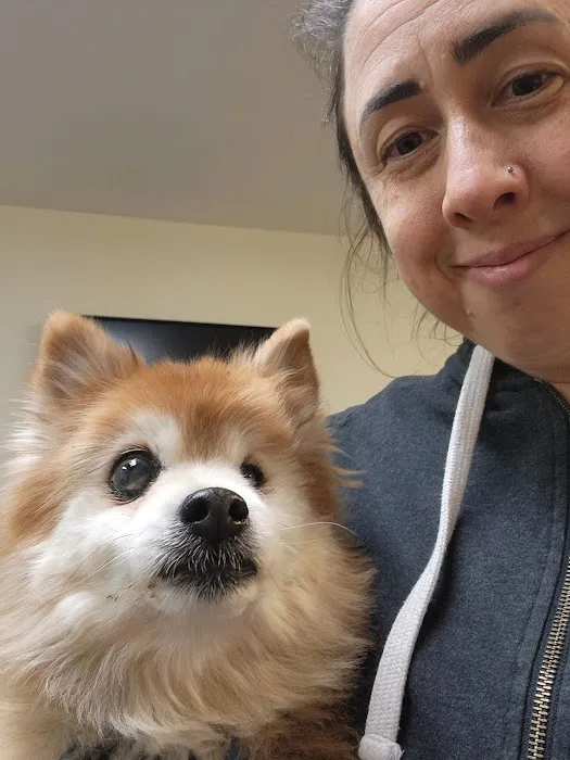 VCA Morris Plains Animal Hospital Picture 4