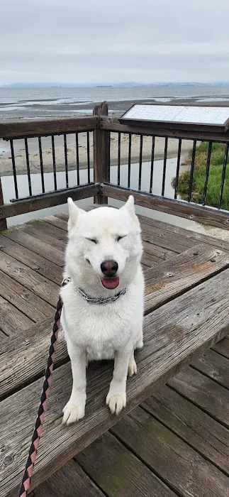 VCA Morris Plains Animal Hospital Picture 9