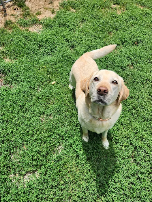 VCA Morris Plains Animal Hospital Picture 10