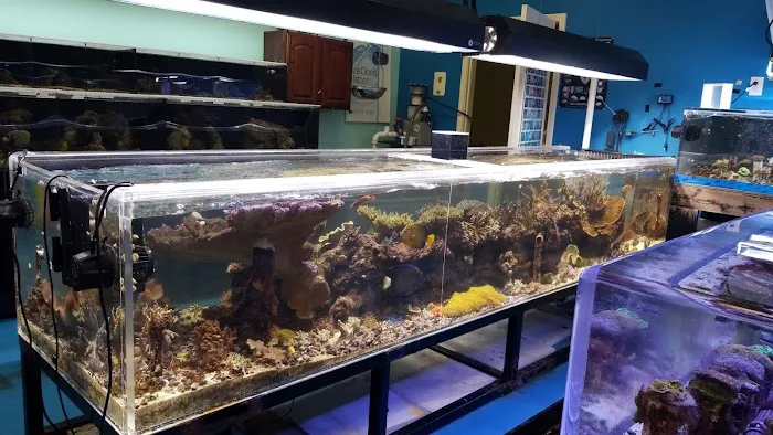 Reef Keepers Aquariums Picture 3