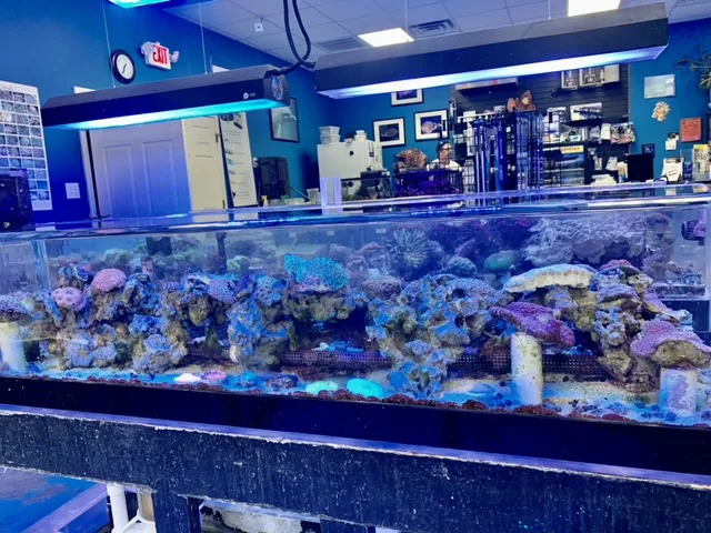 Reef Keepers Aquariums Picture 1