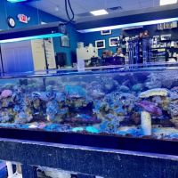 Reef Keepers Aquariums ico